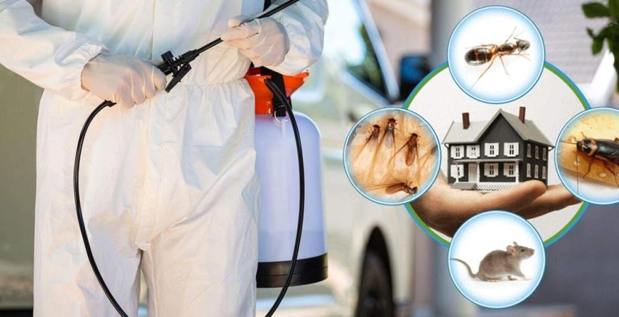 Fındıklı Böcek İlaçlama