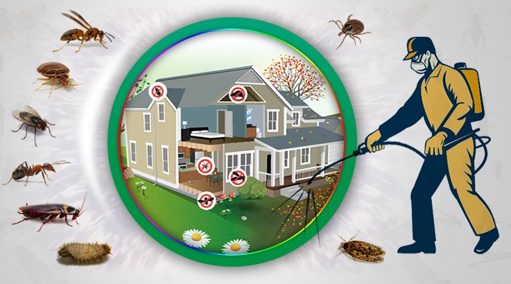 Fındıklı Böcek İlaçlama