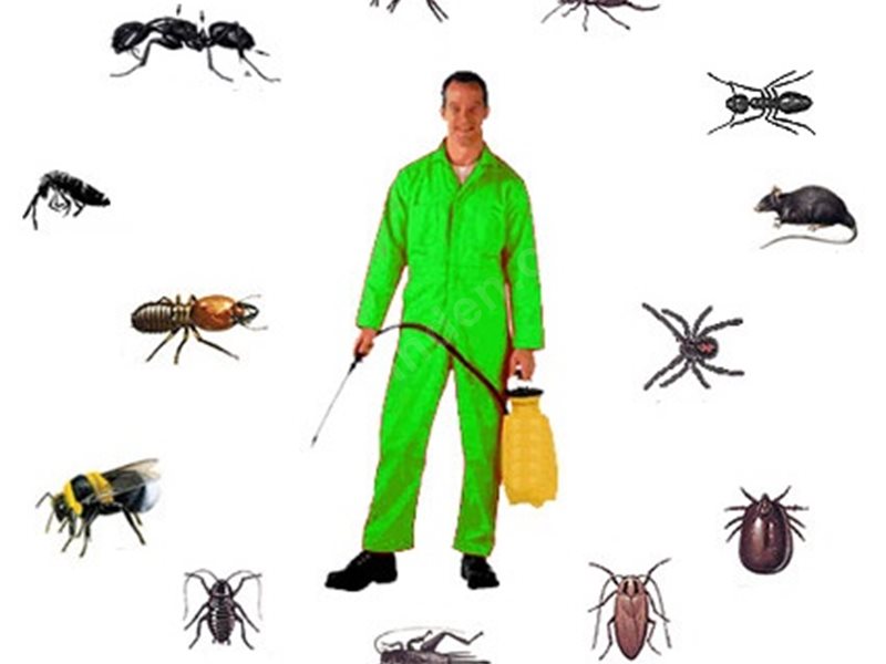 Fındıklı Böcek İlaçlama